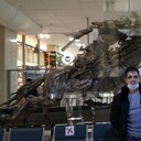 ���������� ��������, ���� ������� ���������, 37 ���, ������������ ��� ������, ����� � ���������, ���������