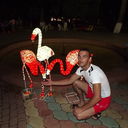 ,   , 41 ,   ,   , c 