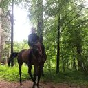 ���������� �����, ���� ������� ����, 34 ����, ������������ ��� ����� � ���������, c�������� ���������