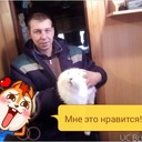  -,   , 44 ,   