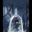 ���������� �������, ���� ������� ���������, 39 ���, ������������ ��� ������, ����� � ���������, c�������� ���������, ���������