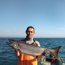  ,   , 51 ,   ,   