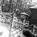 ���������� �����������, ���� ������� ����, 27 ���, ������������ ��� ������, ����� � ���������, c�������� ���������