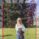  ,   , 61 ,   c 