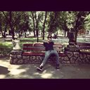 ���������� �����������, ���� ������� �������, 38 ���, ������������ ��� ������, ����� � ���������, c�������� ���������