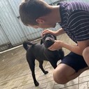 ���������� ���������, ���� ������� �����, 31 ���, ������������ 