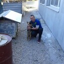 ���������� ��������, ���� ������� �����, 38 ���, ������������ ��� ������, ����� � ���������