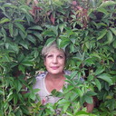  ,   , 64 ,   ,   