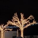 ���������� �����, ���� ����� �����, 22 ����, ������������ ��� ������, ����� � ���������