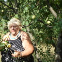  ,   , 72 ,   ,   , c 