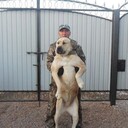 ���������� �����������, ���� ������� ���������, 43 ����, ������������ ��� ������, ����� � ���������, c�������� ���������