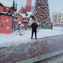 ���������� �����, ���� ������� ����, 50 ���, ������������ ��� ������, ����� � ���������, c�������� ���������, ���������