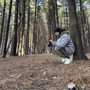 ���������� �����������, ���� ������� ������, 33 ����, ������������ ��� ������, ����� � ���������, c�������� ���������, ���������