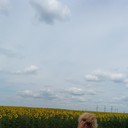  ,   , 53 ,   ,   , c 