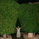 ���������� ������, ���� ������� ������������, 33 ����, ������������ ��� ����� � ���������, c�������� ���������