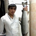 ���������� ���������, ���� ������� Afzalbek, 34 ����, ������������ ��� ����� � ���������, c�������� ���������