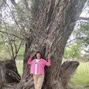  ,   , 65 ,   c 