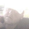  ,   , 40 ,   ,   , c , 