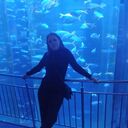 ���������� �����-���������, ���� ������� ���������, 40 ���, ������������ ��� ����� � ���������, c�������� ���������