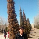  ,   , 25 ,   ,   , c 