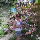  ,   , 55 ,     , c 