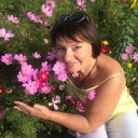 ���������� �����, ���� ������� ����, 62 ����, ������������ ��� ����� � ���������, c�������� ���������