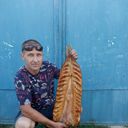 ���������� ������, ���� ������� ���������, 43 ����, ������������ ��� ������, ����� � ���������