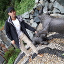 ���������� �����������, ���� ������� A�����, 31 ���, ������������ ��� ������, ����� � ���������, c�������� ���������