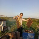 ���������� �����������, ���� ������� �����, 36 ���, ������������ ��� c�������� ���������