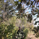 ���������� ������, ���� ������� Romeo, 48 ���, ������������ ��� ������, ����� � ���������, c�������� ���������