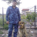 ���������� ���������, ���� ������� �����, 43 ����, ������������ ��� ����� � ���������, c�������� ���������, ���������