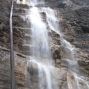  ,   , 55 ,     , c 