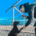  ,   , 28 ,   ,   , c 