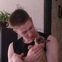 ���������� ��������, ���� ������� �������, 33 ����, ������������ ��� ������, ����� � ���������, c�������� ���������