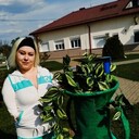 ���������� ������, ���� ������� ������, 36 ���, ������������ ��� c�������� ���������