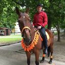 ���������� ������, ���� ������� ������, 37 ���, ������������ ��� ������, ����� � ���������, c�������� ���������, ���������