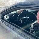 ���������� ������������, ���� ������� Arturo, 35 ���, ������������ ��� ������, ����� � ���������, c�������� ���������, ���������