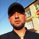 ���������� ���������, ���� ������� Maruf, 36 ���, ������������ ��� ������, ����� � ���������