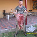  ,   Patriot73, 52 ,   