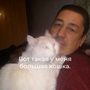  -,   , 52 ,     , c 