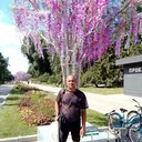  ,   , 50 ,     , c 