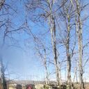 ���������� �����������, ���� ������� ��������, 66 ���, ������������ 