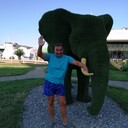 ���������� �����-���������, ���� ������� �������, 55 ���, ������������ ��� ������, ����� � ���������