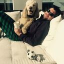 ���������� �����-���������, ���� ������� �����, 46 ���, ������������ ��� ������, ����� � ���������, c�������� ���������