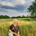 ���������� �������, ���� ������� �����, 50 ���, ������������ ��� ������, ����� � ���������, c�������� ���������