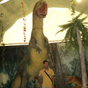  ,   , 45 ,   ,   , c 
