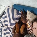 ���������� �����-���������, ���� ������� ������, 28 ���, ������������ ��� ������, ����� � ���������, c�������� ���������