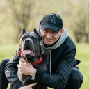 ���������� �����, ���� ������� ���������, 36 ���, ������������ ��� ������, ����� � ���������, ���������