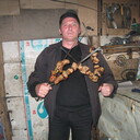   ,   , 62 ,   ,   