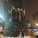 ���������� ������, ���� ������� ����, 26 ���, ������������ ��� ������, ����� � ���������